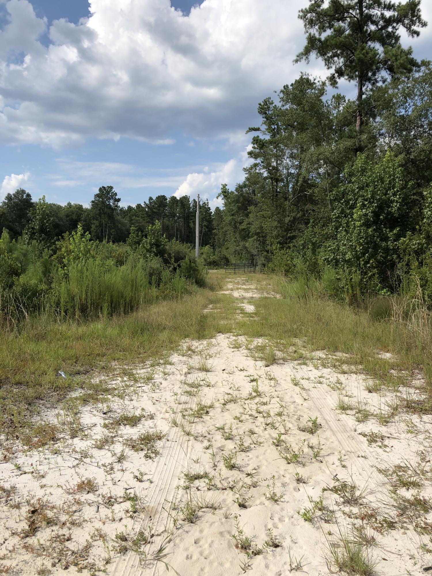 4582 Cannon Road Round O, SC 29474 - Photo 7 of 9 driveway