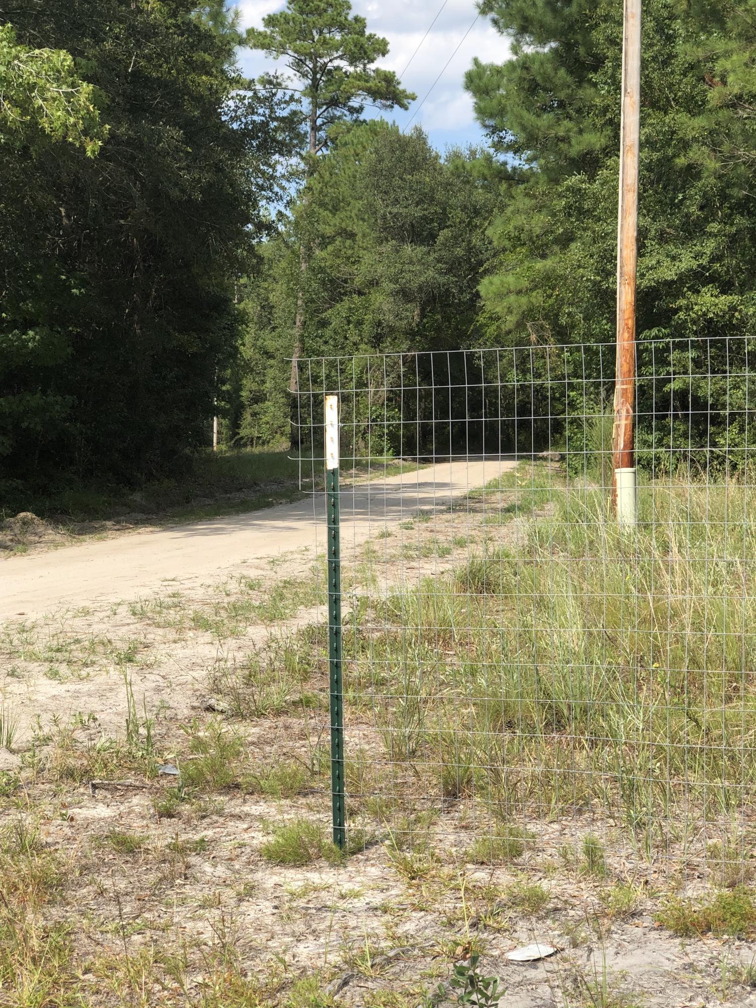 4582 Cannon Road Round O, SC 29474 - Photo 8 of 9 driveway2