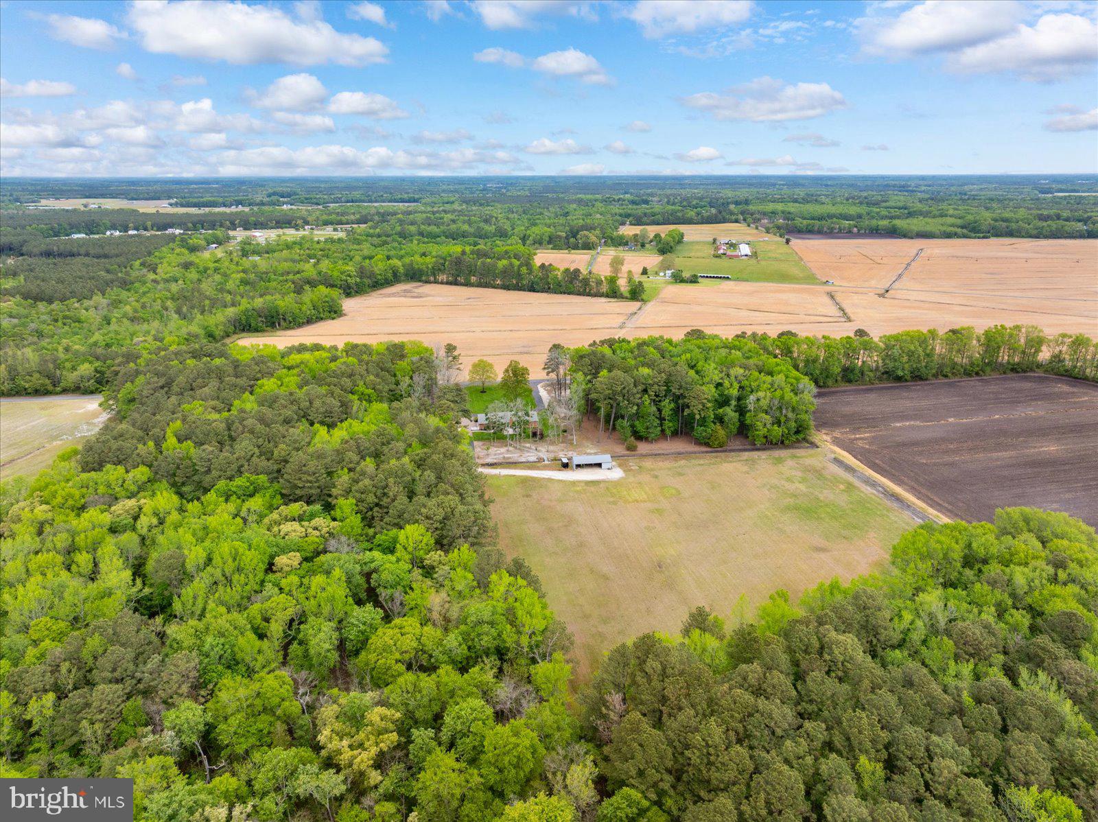 33915 Shockley Road Parsonsburg, MD 21849 - Photo 118 of 125 Expansive countryside retreat awaits.