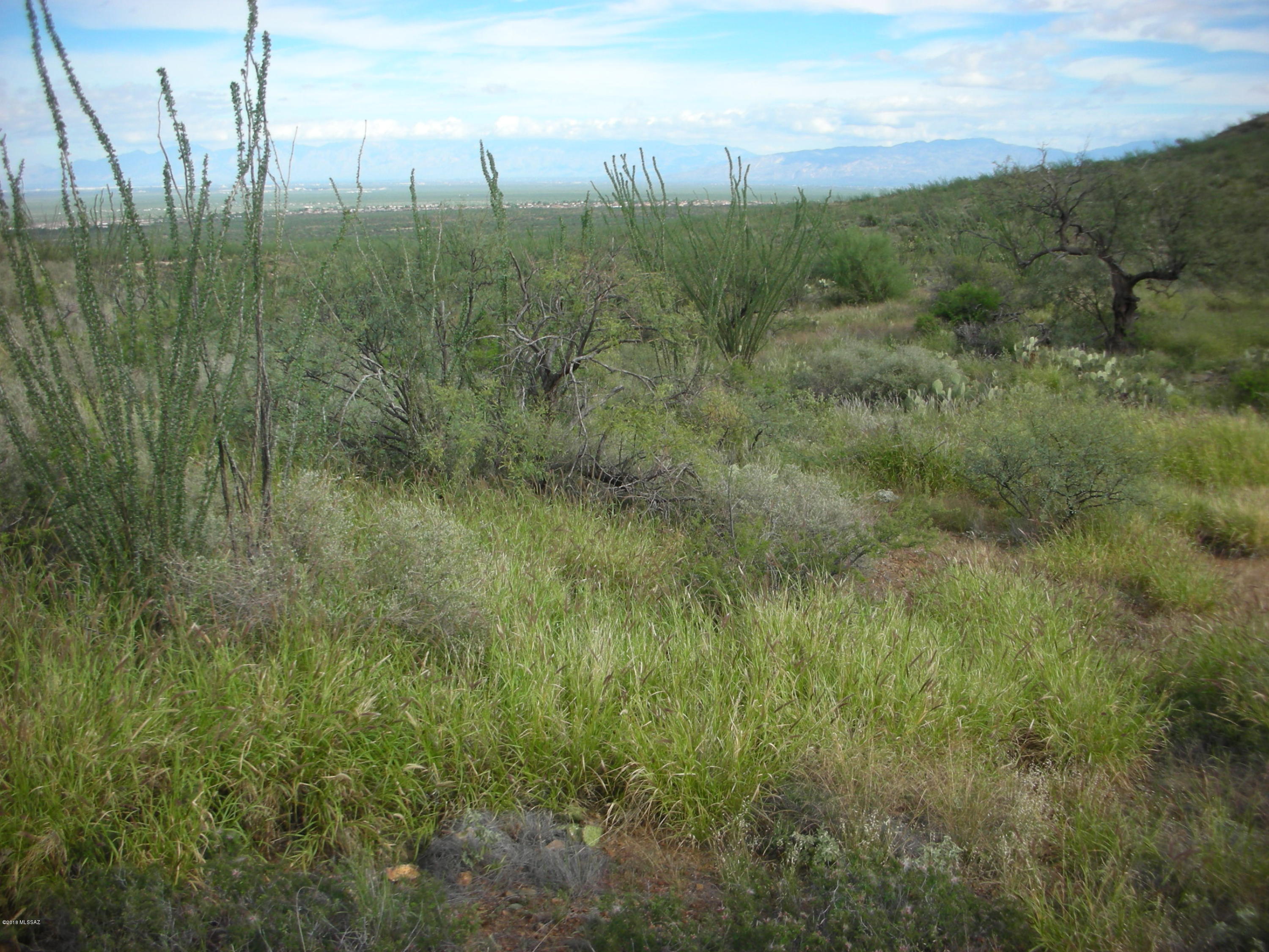 10600 East Ocotillo Rim Trail Vail, AZ 85641 - Photo 19 of 24 Gallery Image 19