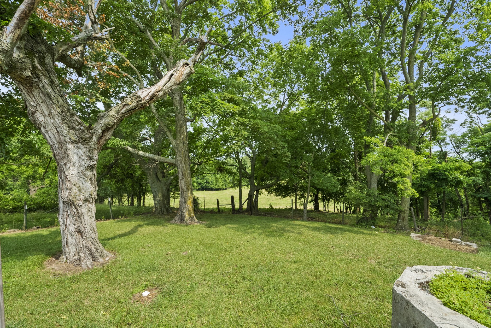 1214 Woodard Reid Road Springfield, TN 37172 - Photo 33 of 43