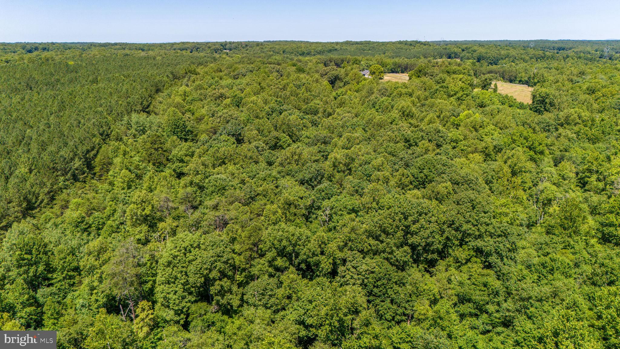 3485 Tabscott Road Columbia, VA 23038 - Photo 29 of 40 a view of a large yard with lots of green space