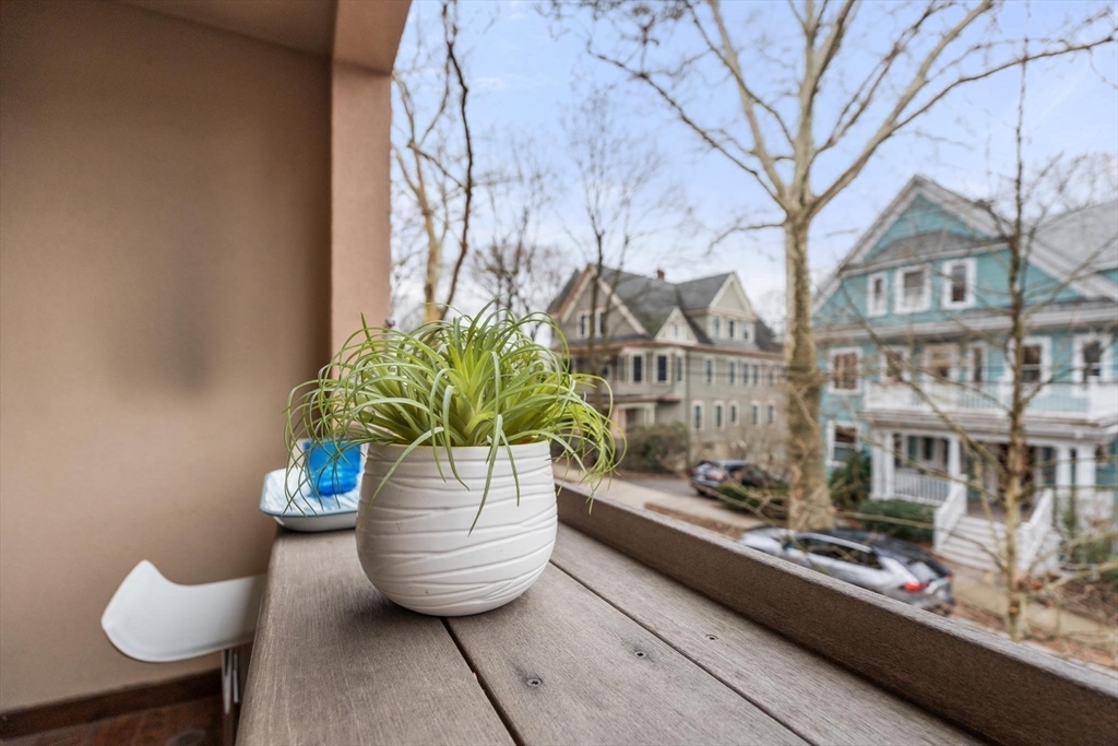 197 Rawson Road, Unit 1 Brookline, MA 02445 - Photo 25 of 27 a view of a flower in a balcony