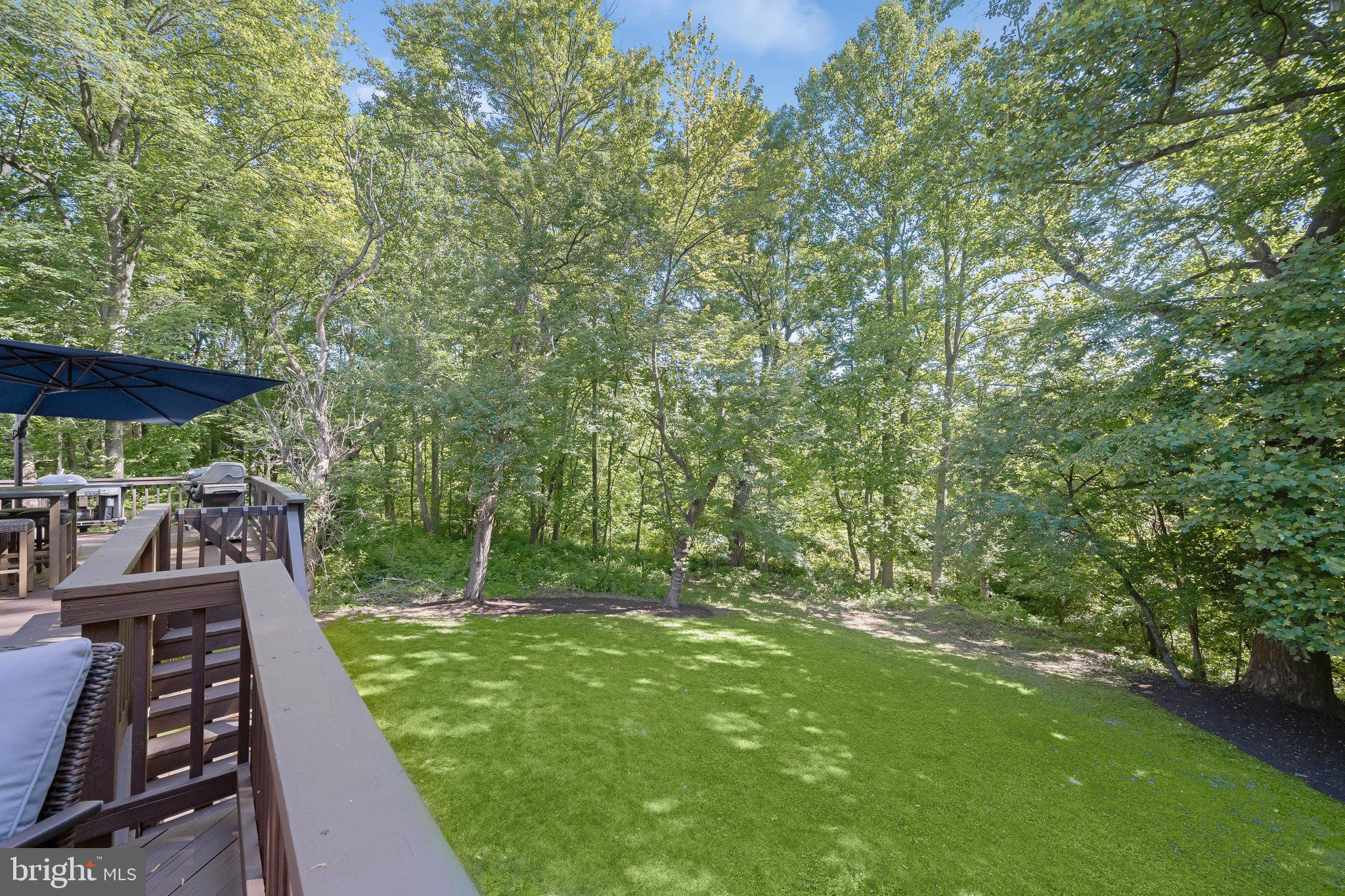 8329 Painted Rock Road Columbia, MD 21045 - Photo 55 of 64 Deck View