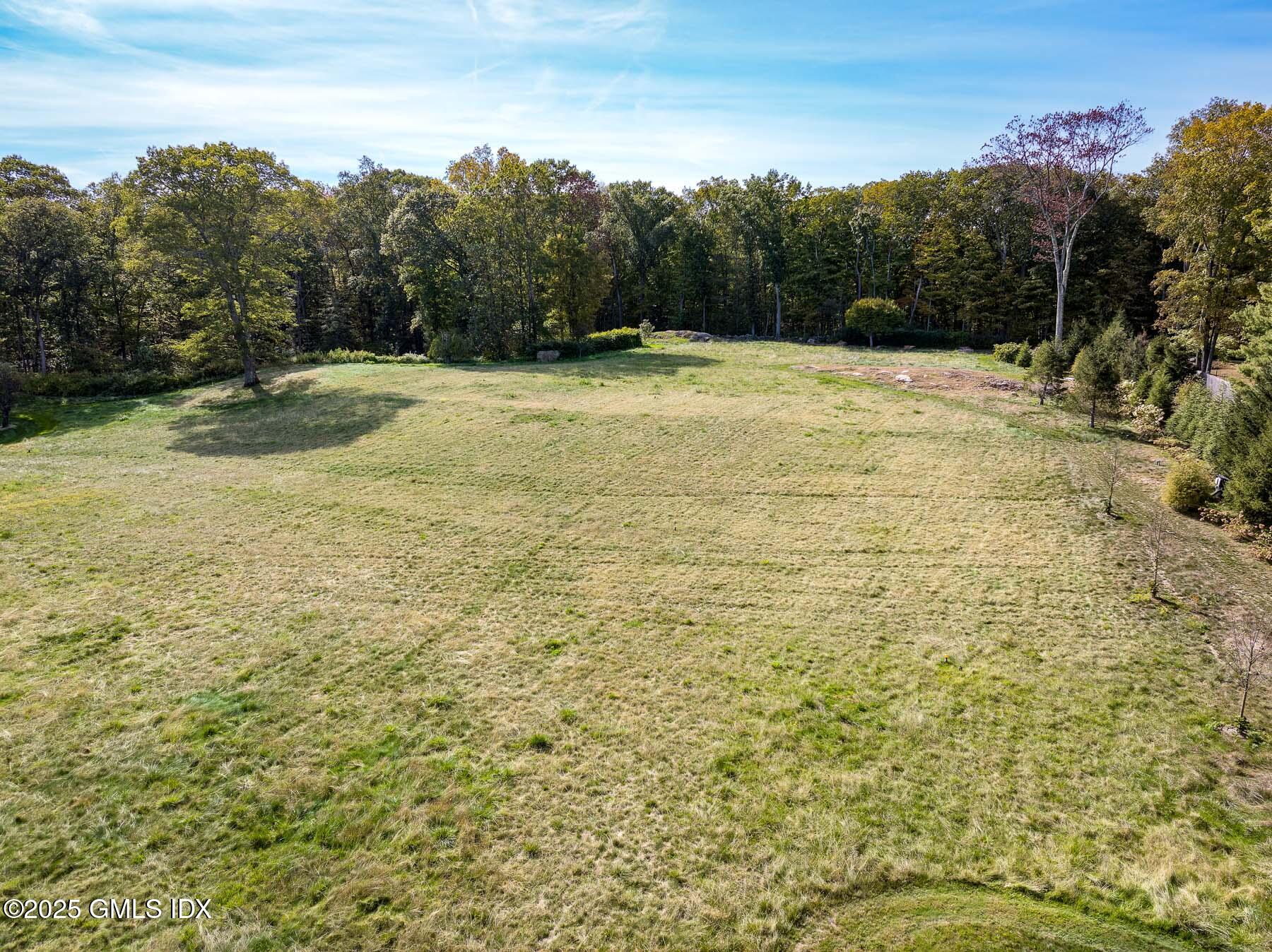 65 John Street Greenwich, CT 06831 - Photo 9 of 12 a view of a yard with an trees