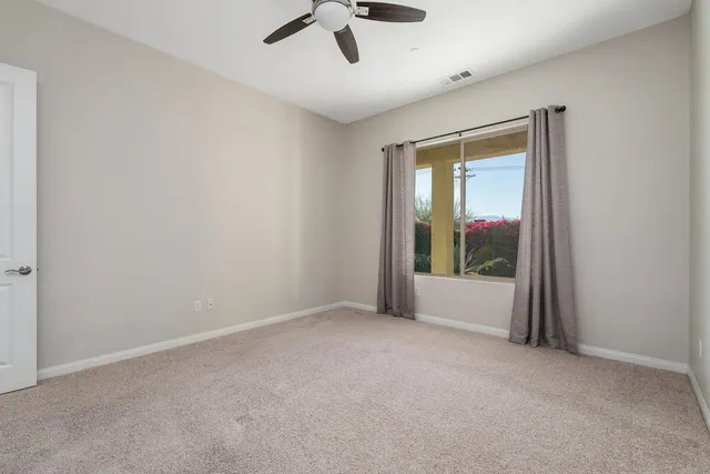 a living room with furniture a rug and a potted plant