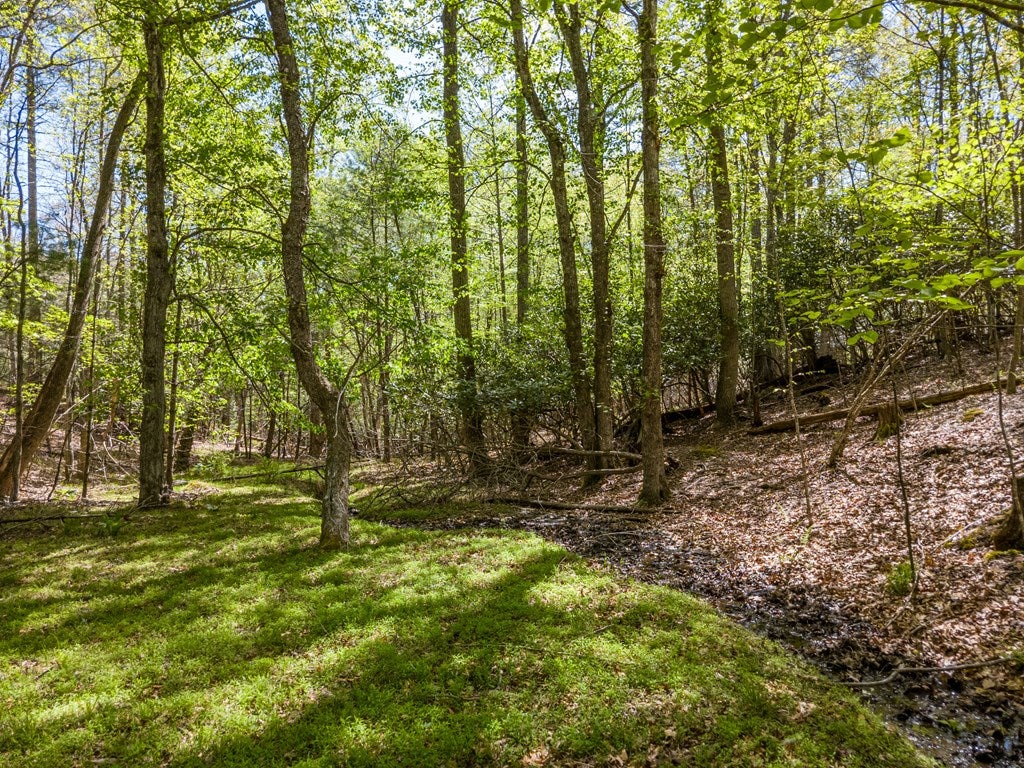 Lot 11 Ridge Line Trail, Unit 11 Independence, VA 24348 - Photo 19 of 40 Gallery Image 19