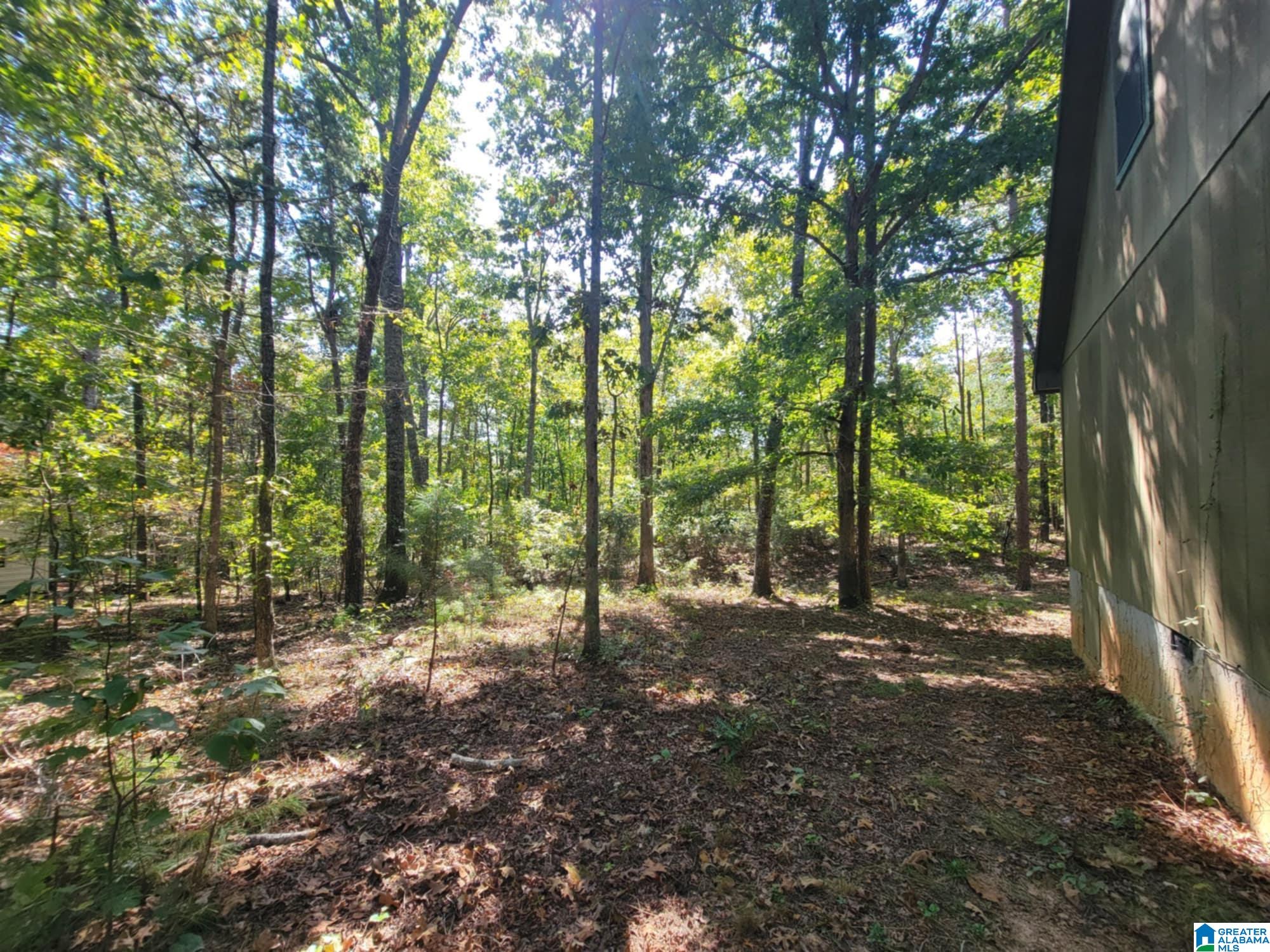 24 Fawn Way Lineville, AL 36266 - Photo 29 of 30