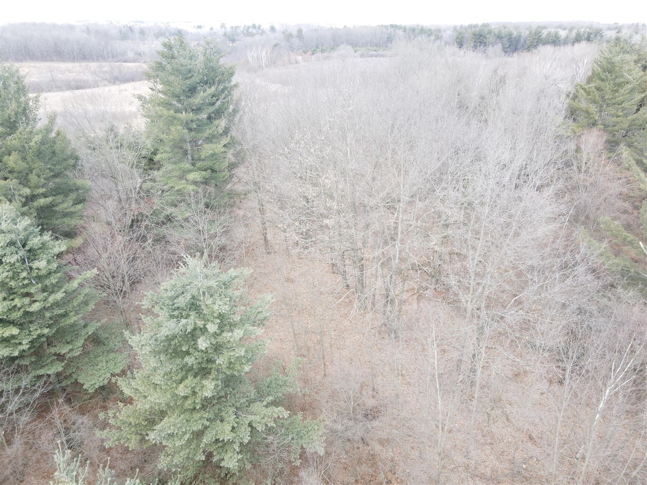 4 4 Mile Road Evart, MI 49631 - Photo 24 of 30