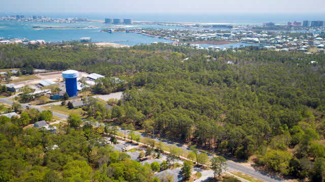26640 Canal Road Orange Beach, AL 36561 - Photo 3 of 16