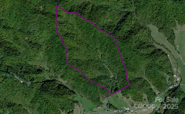 a view of a yard with plants