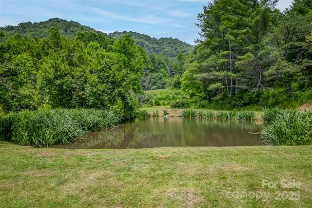 a view of a lake view with a garden