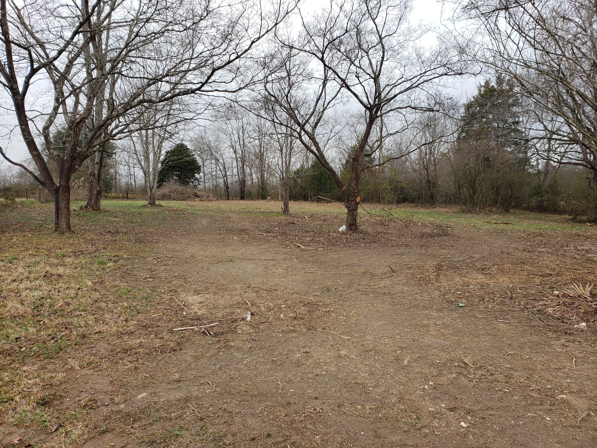 1615 Old Florence Road Lawrenceburg, TN 38464 - Photo 19 of 25 Gallery Image 19
