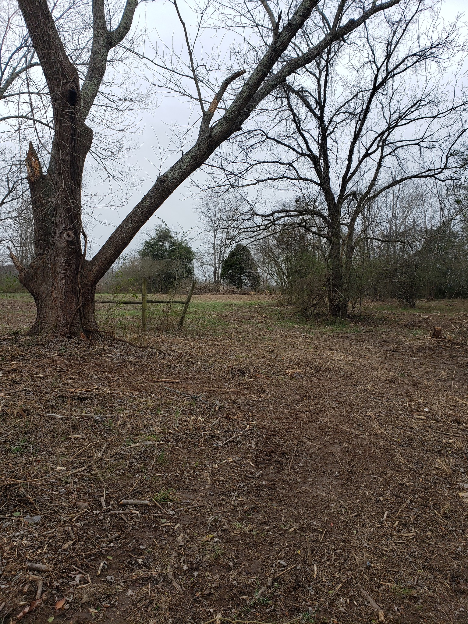 1615 Old Florence Road Lawrenceburg, TN 38464 - Photo 20 of 25 Gallery Image 20
