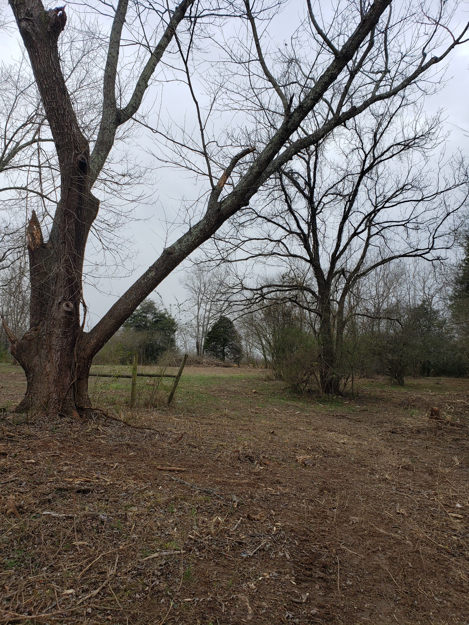 1615 Old Florence Road Lawrenceburg, TN 38464 - Photo 21 of 25 Gallery Image 21