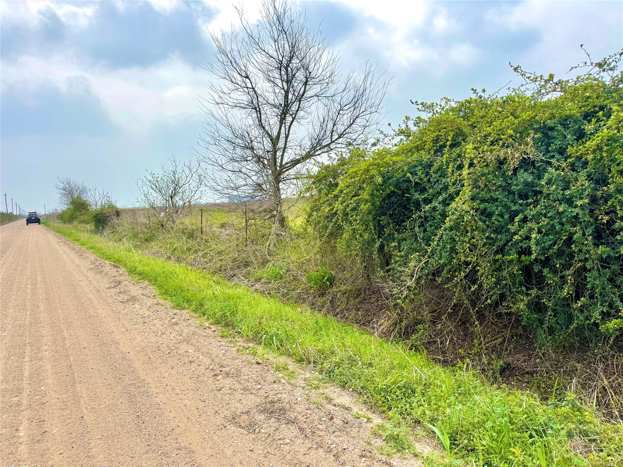 13 Beal Road Eagle Lake, TX 77434 - Photo 13 of 13 Expansive undeveloped land featuring a natural green perimeter