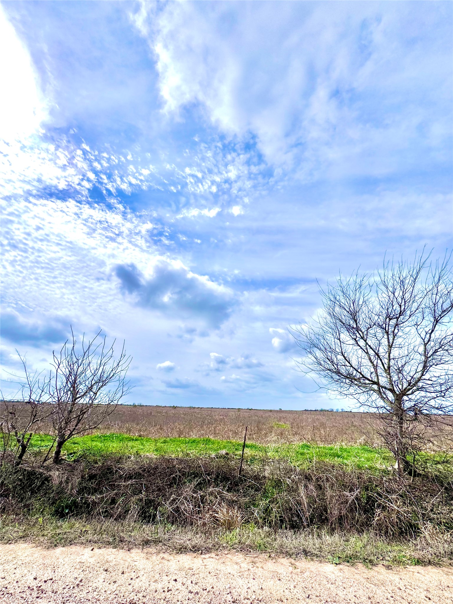 13 Beal Road Eagle Lake, TX 77434 - Photo 4 of 13 Expansive land parcel featuring open fields, natural vegetation, scattered trees, and a clear sky with cloud formations