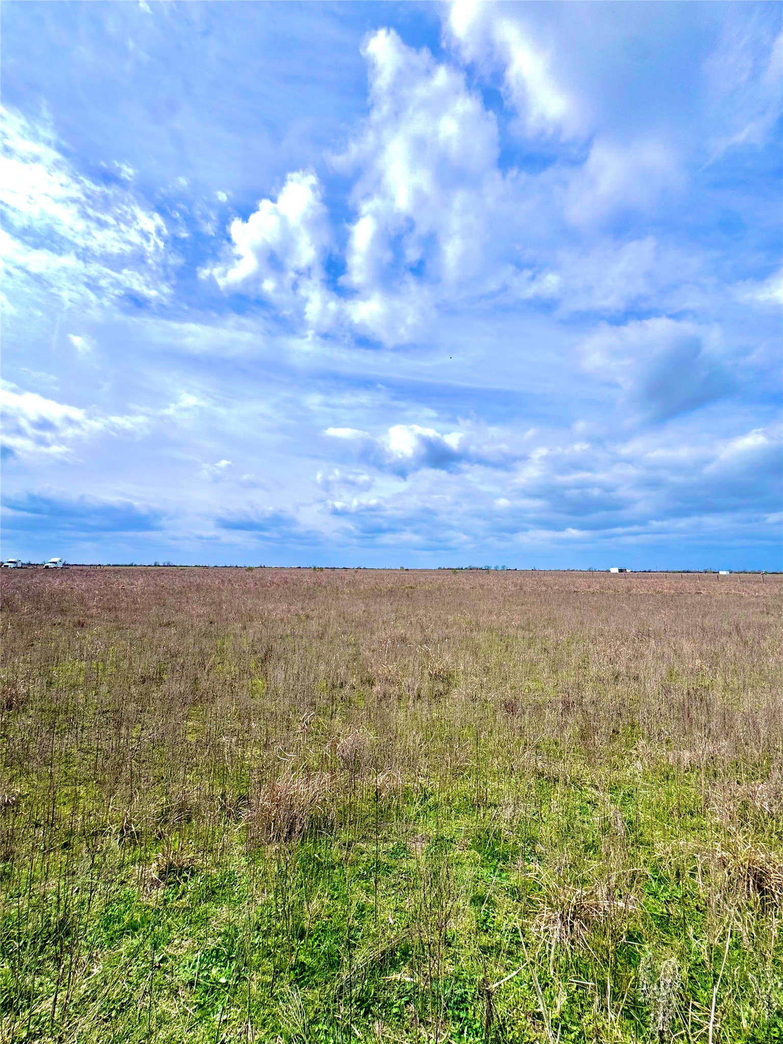 13 Beal Road Eagle Lake, TX 77434 - Photo 6 of 13 Expansive open land featuring a combination of green and dry vegetation under a broad sky with scattered clouds