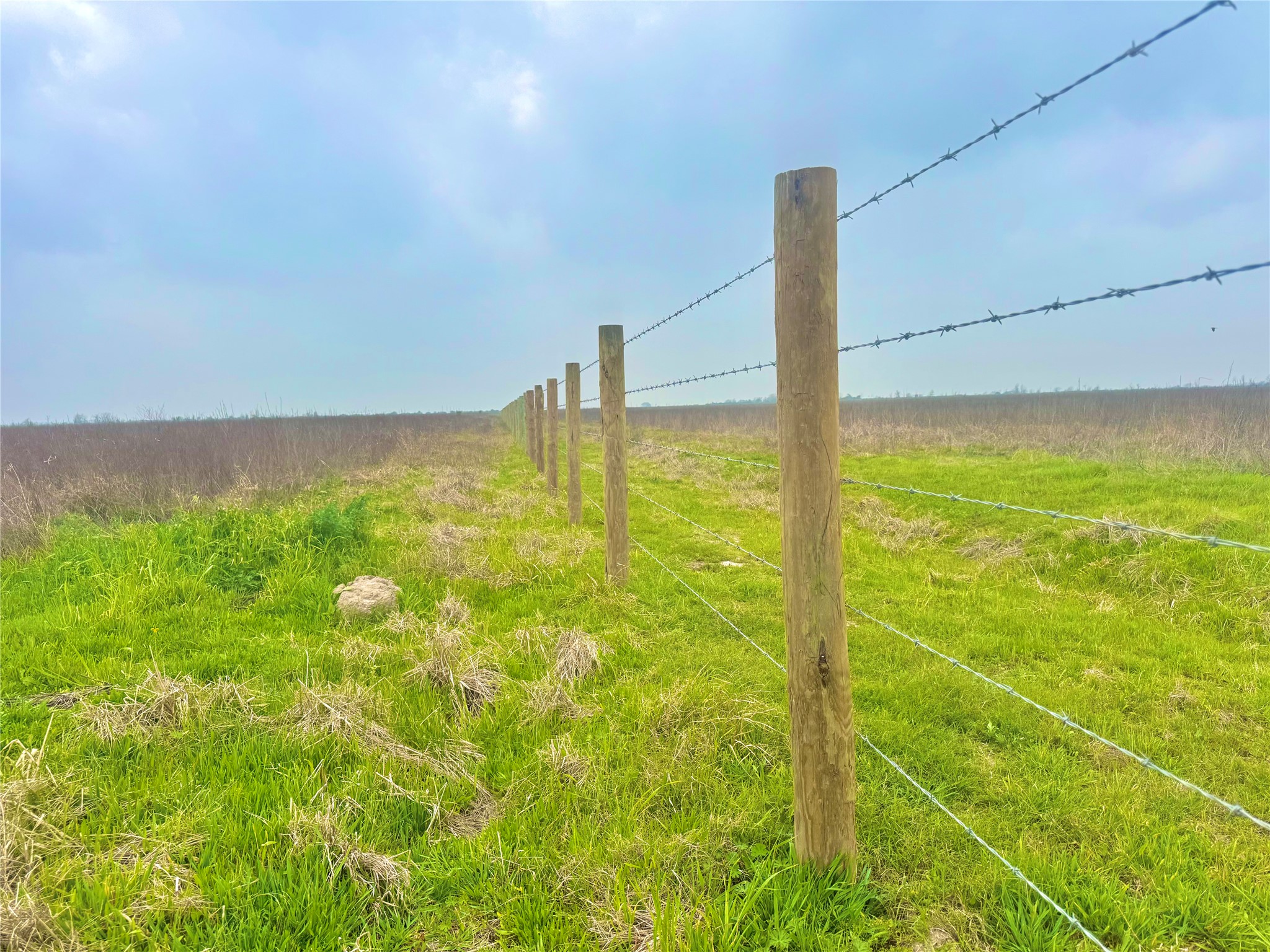 13 Beal Road Eagle Lake, TX 77434 - Photo 7 of 13 Pastoral land featuring a wooden post and barbed wire fence line