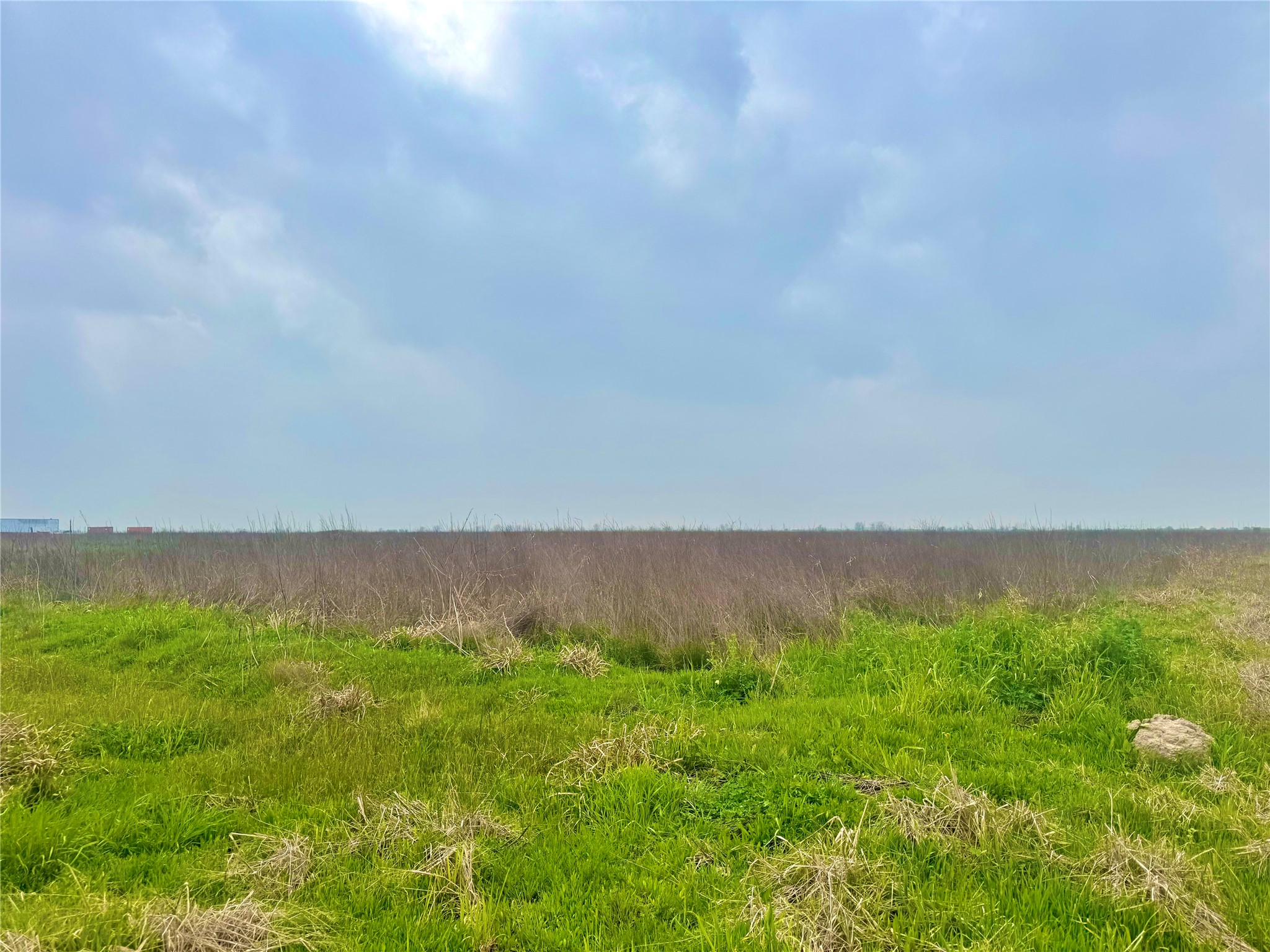 13 Beal Road Eagle Lake, TX 77434 - Photo 8 of 13 Expansive land parcel featuring natural grasses and open sky