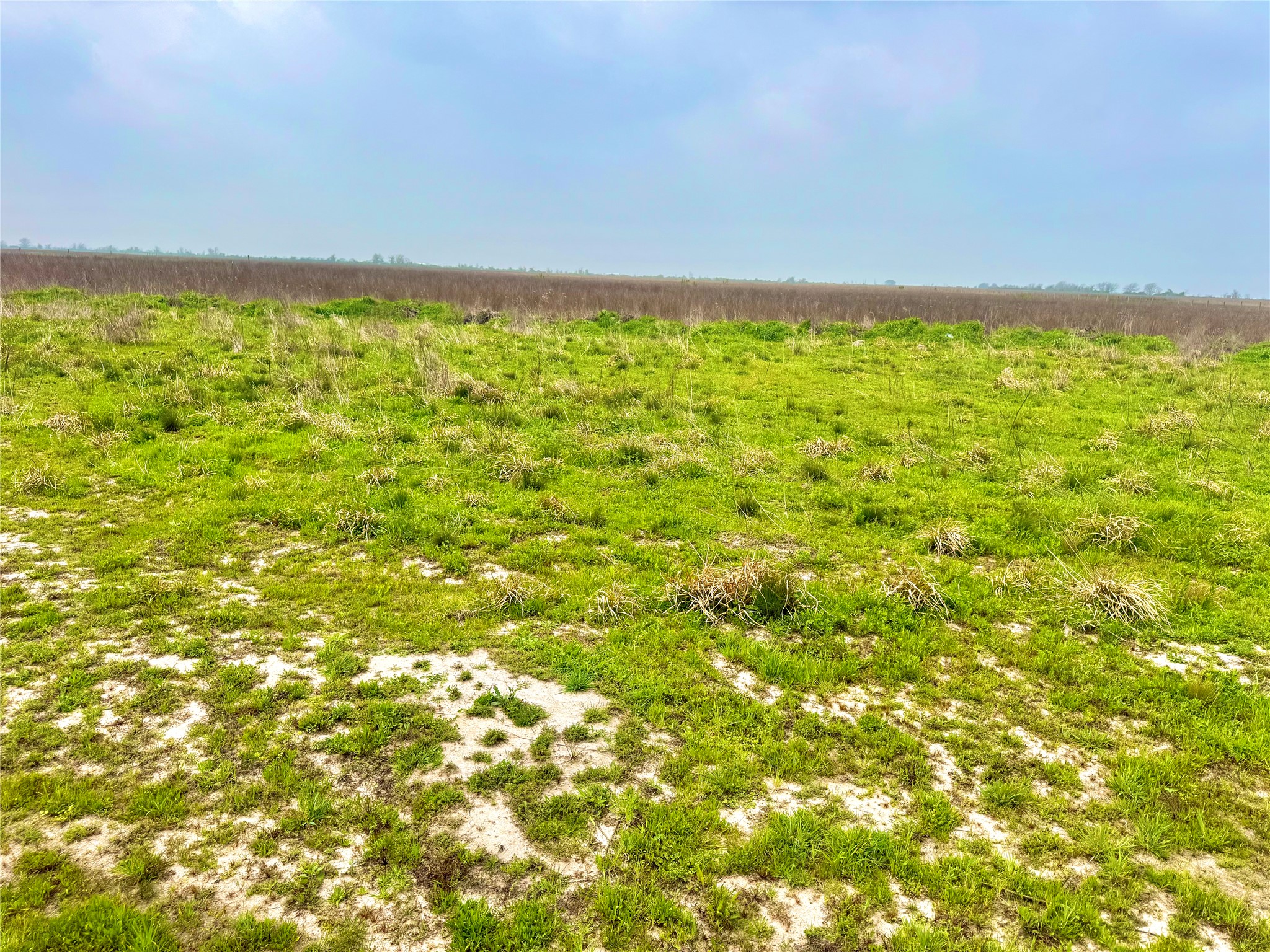 13 Beal Road Eagle Lake, TX 77434 - Photo 10 of 13 Expansive undeveloped land featuring natural green ground cover and distant treeline under a light blue sky