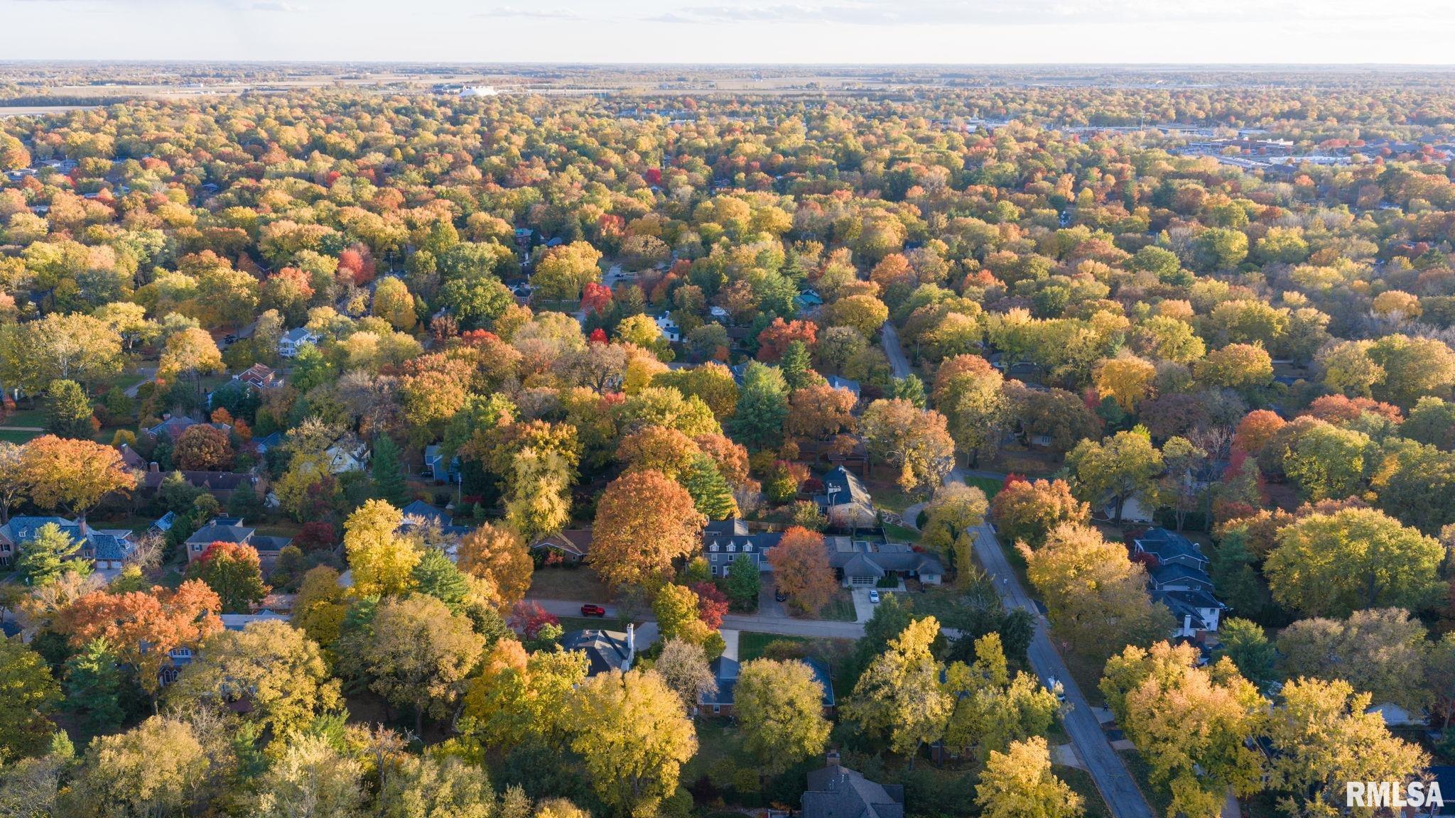 10 Sunset Lane Springfield, IL 62704 - Photo 57 of 64