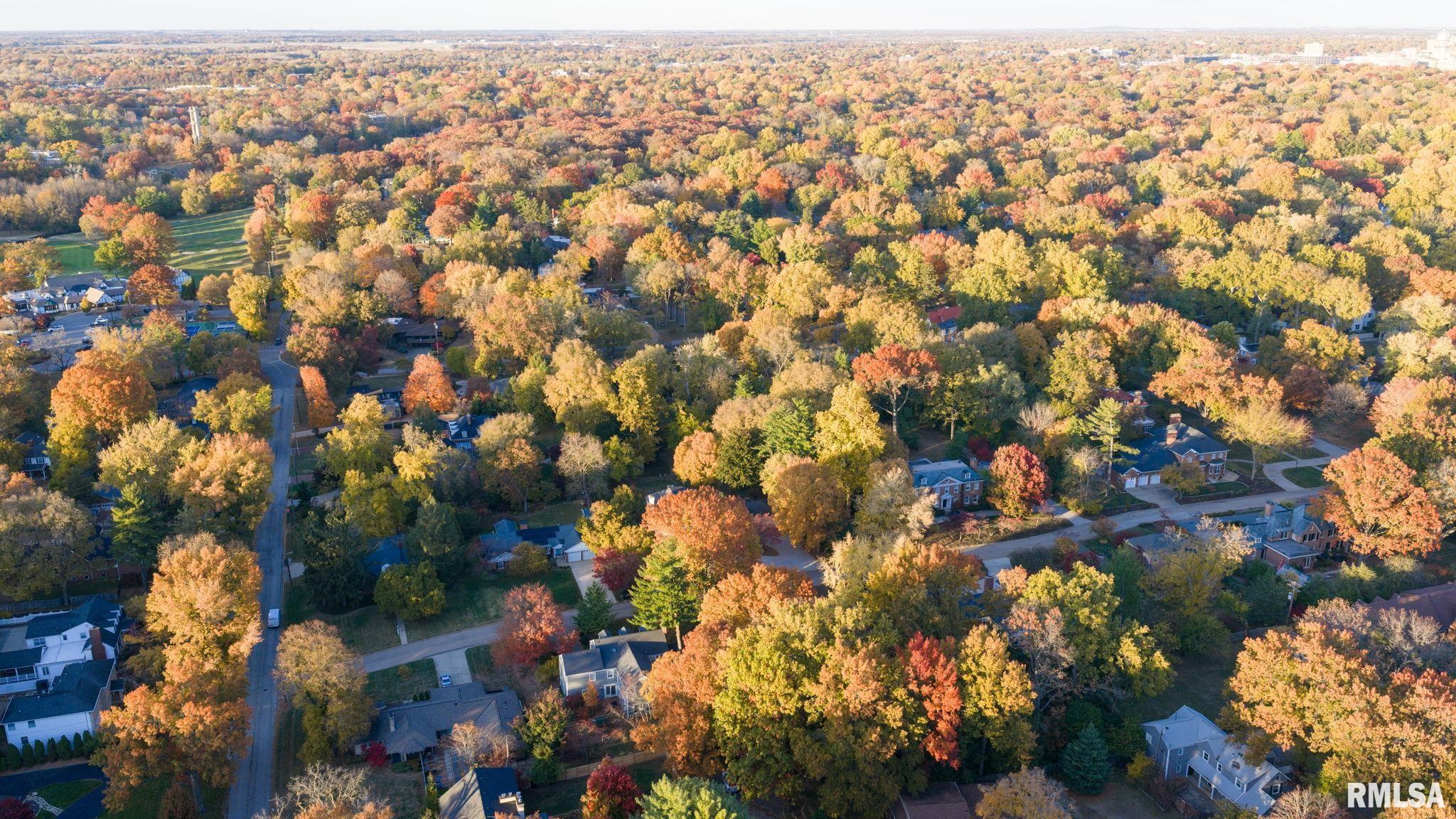 10 Sunset Lane Springfield, IL 62704 - Photo 59 of 64