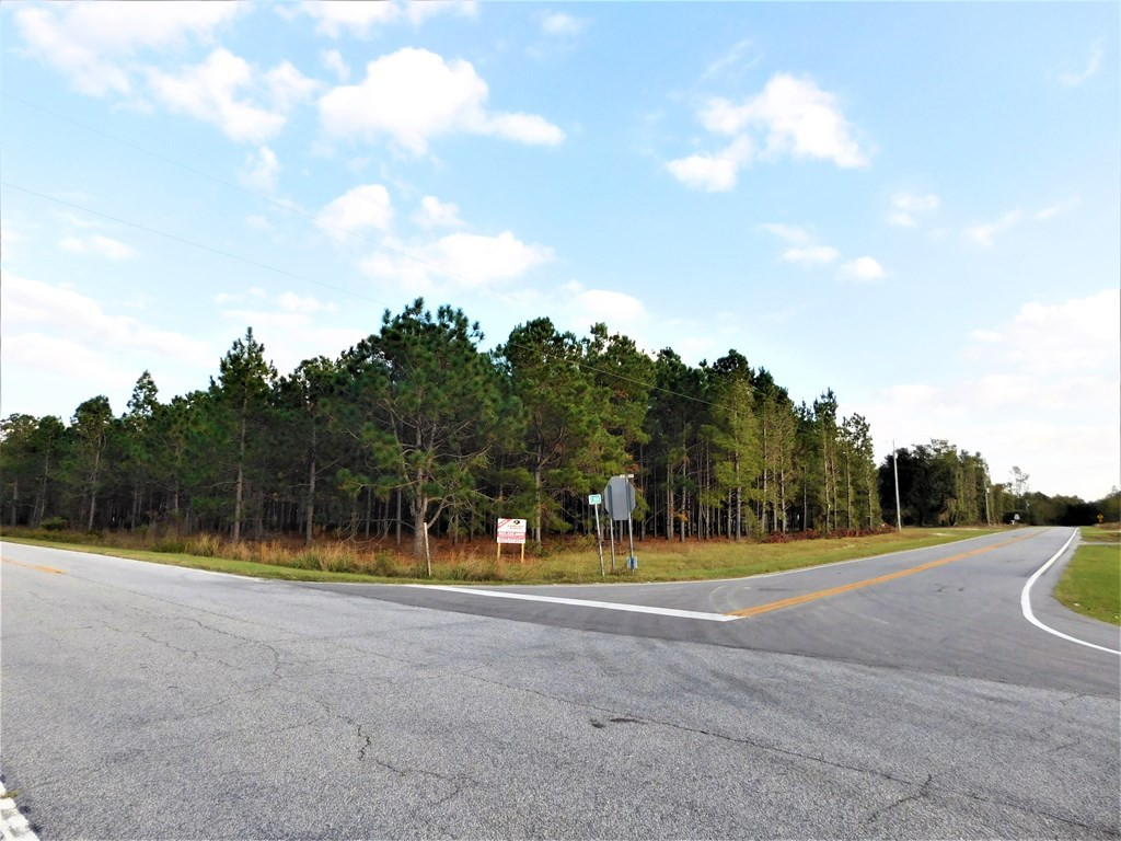 1189 Flinn Road Manning, SC 29102 - Photo 2 of 8