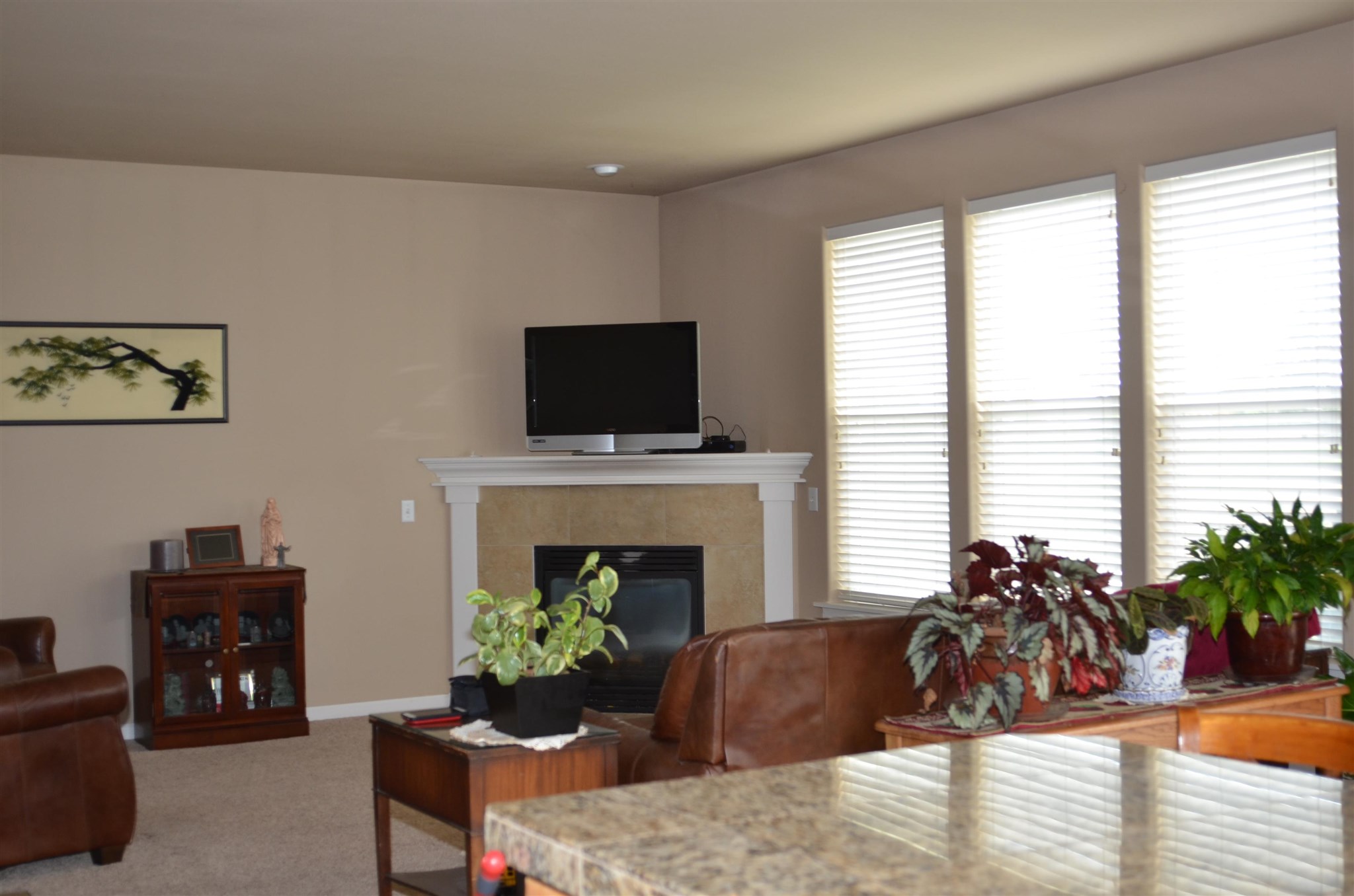 7721 South Fruitvale Road Cheney, WA 99004 - Photo 8 of 14