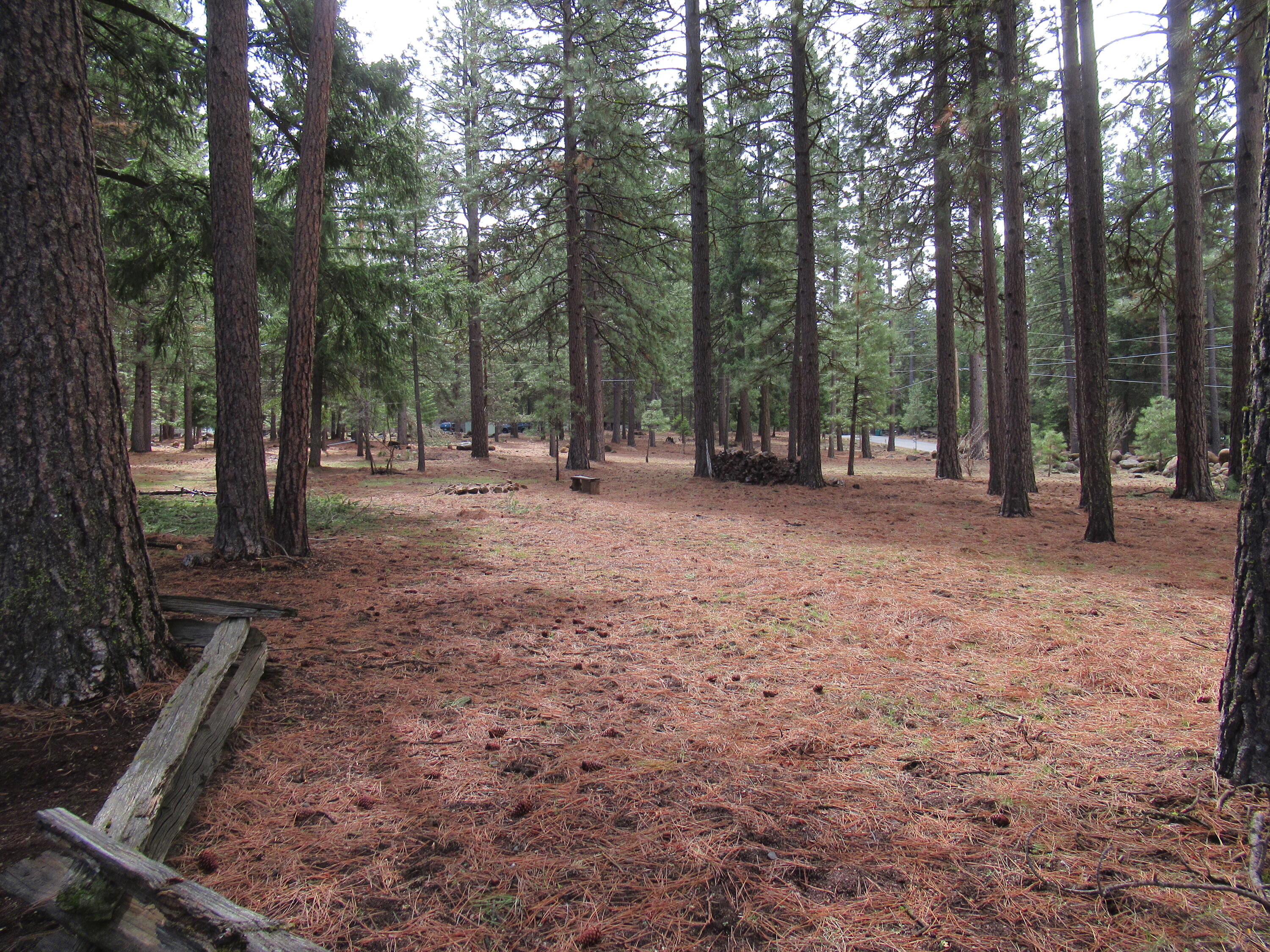 12525 Kann Springs Road Keno, OR 97627 - Photo 40 of 43 2025-04-07 11.11.42