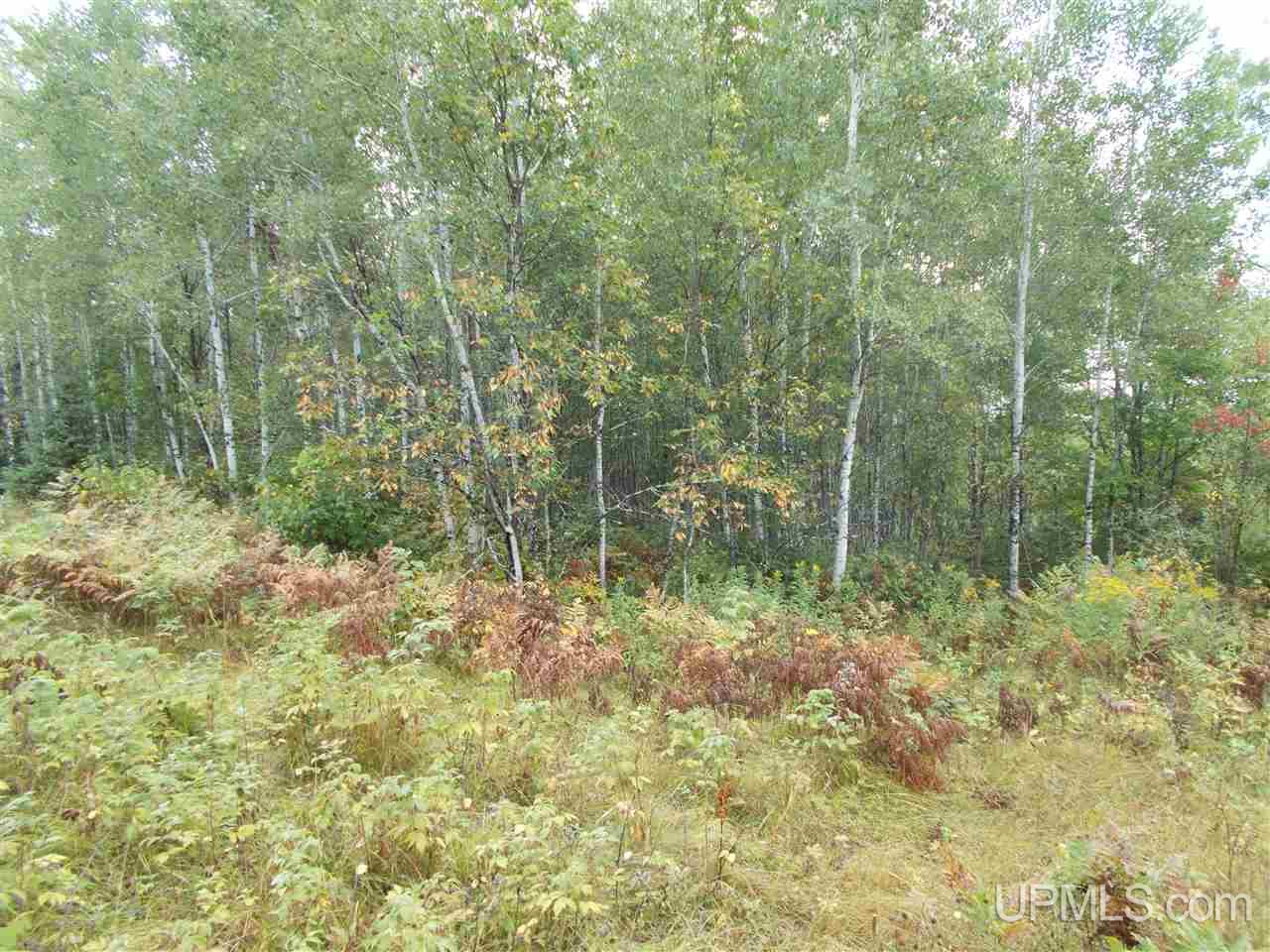 40-ac Park Farms Road Amasa, MI 49903 - Photo 8 of 9
