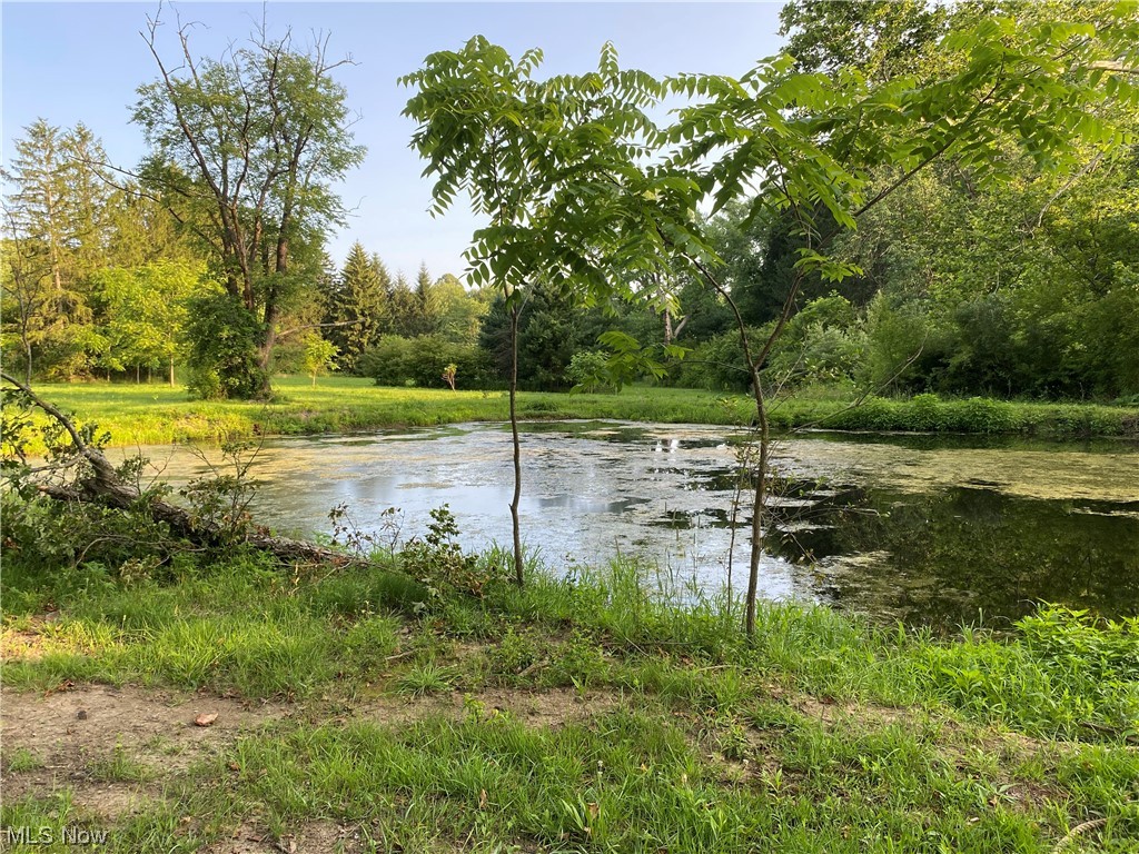 Dines Road Novelty, OH 44072 - Photo 3 of 16 East upper pond