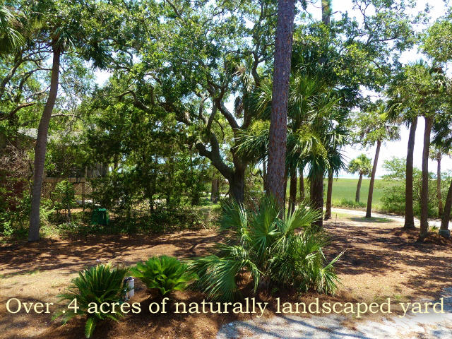 7634 Legare Road Edisto Island, SC 29438 - Photo 11 of 72 P1780369 (640x480)