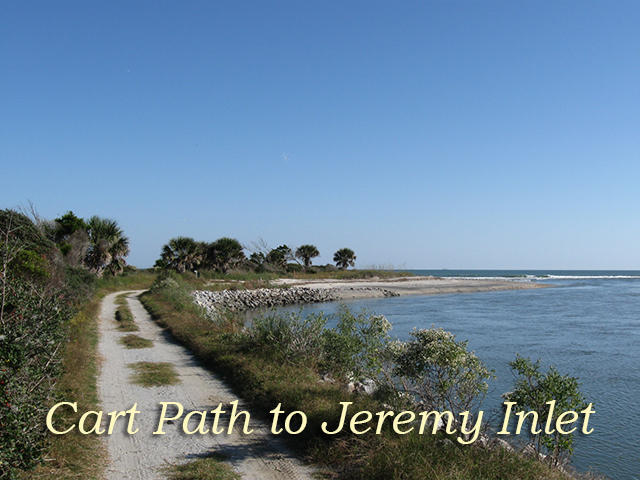 7634 Legare Road Edisto Island, SC 29438 - Photo 15 of 72 cart path to jeremy inlet