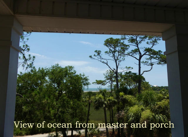 7634 Legare Road Edisto Island, SC 29438 - Photo 46 of 72 P1780448 (640x465)