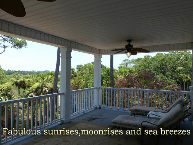 7634 Legare Road Edisto Island, SC 29438 - Photo 47 of 72 P1780449 (640x480)