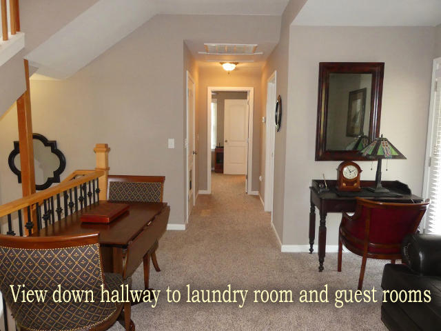 7634 Legare Road Edisto Island, SC 29438 - Photo 52 of 72 P1780459 (640x480)