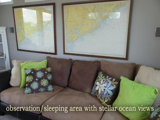 7634 Legare Road Edisto Island, SC 29438 - Photo 60 of 72 P1780475 (640x480)
