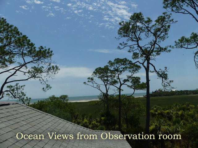 7634 Legare Road Edisto Island, SC 29438 - Photo 61 of 72 P1780476 (640x480)