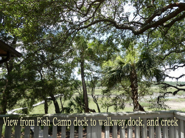 7634 Legare Road Edisto Island, SC 29438 - Photo 65 of 72 P1780495 (640x478)