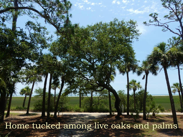 7634 Legare Road Edisto Island, SC 29438 - Photo 9 of 72 P1780368 (640x480)