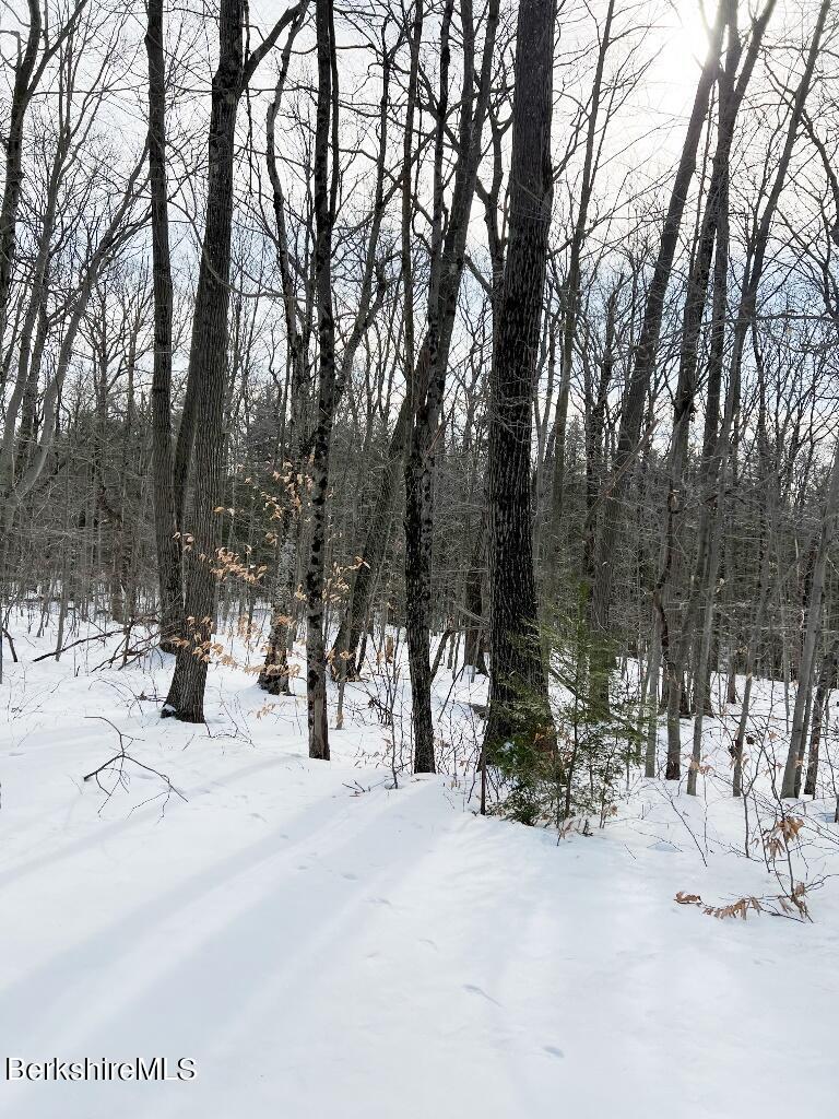 2 Moberg Road Becket, MA 01223 - Photo 3 of 7 a view of road and trees