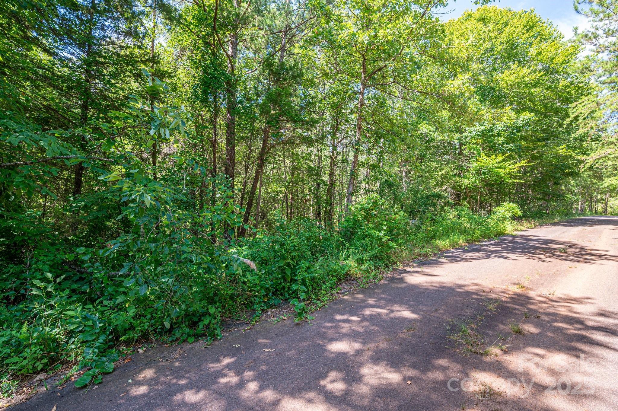 Lot # Meadow Crossing Drive Rutherfordton, NC 28139 - Photo 13 of 13 a view of a road with plants and trees