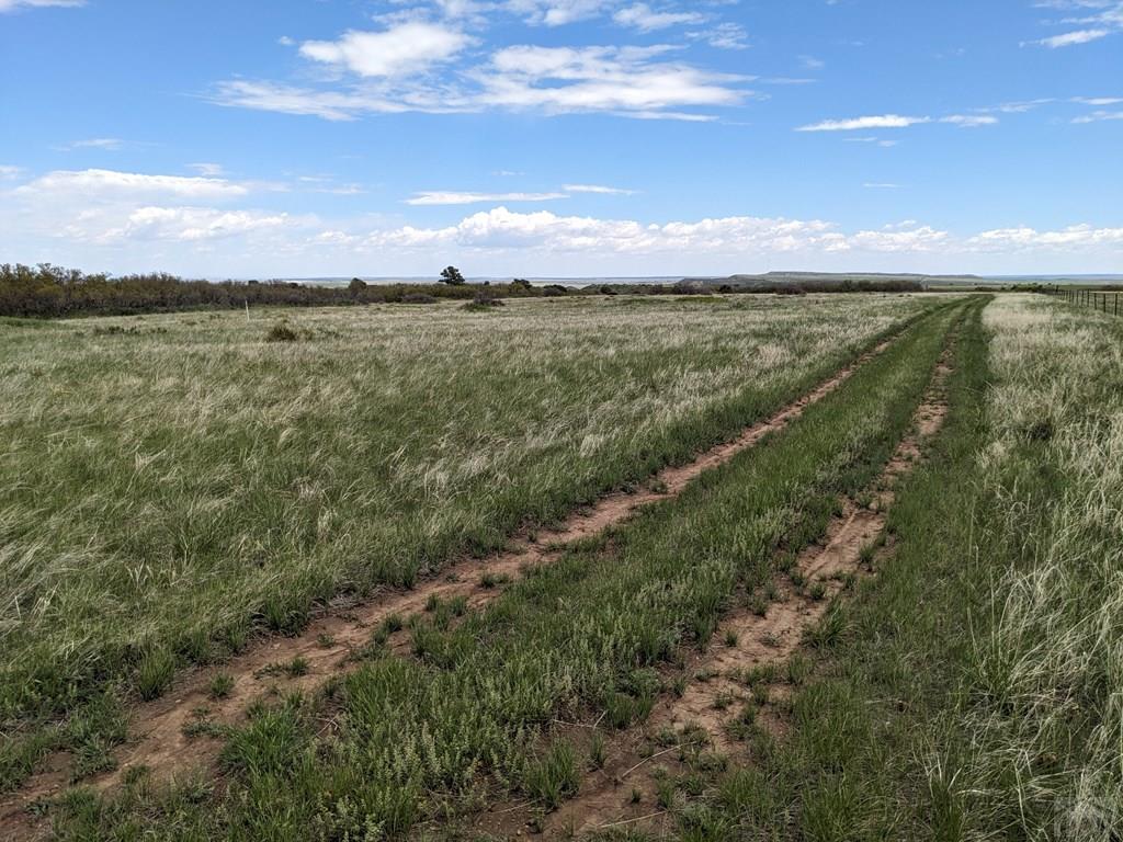Tbd Honeywell Drive Rye, CO 81069 - Photo 12 of 16