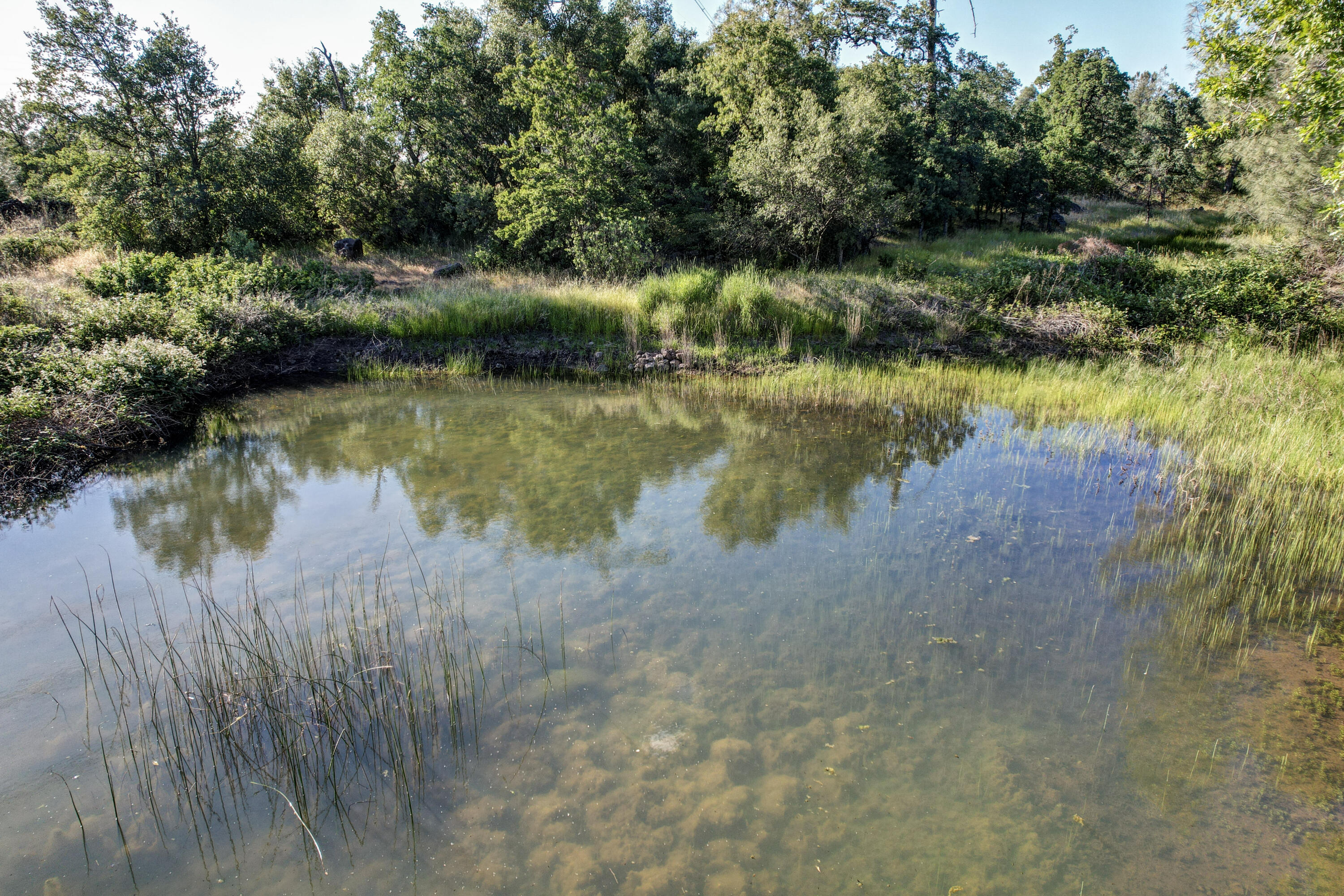 13360 Oak Run Road Oak Run, CA 96069 - Photo 28 of 33 43-DJI_0101_2_3_4_5