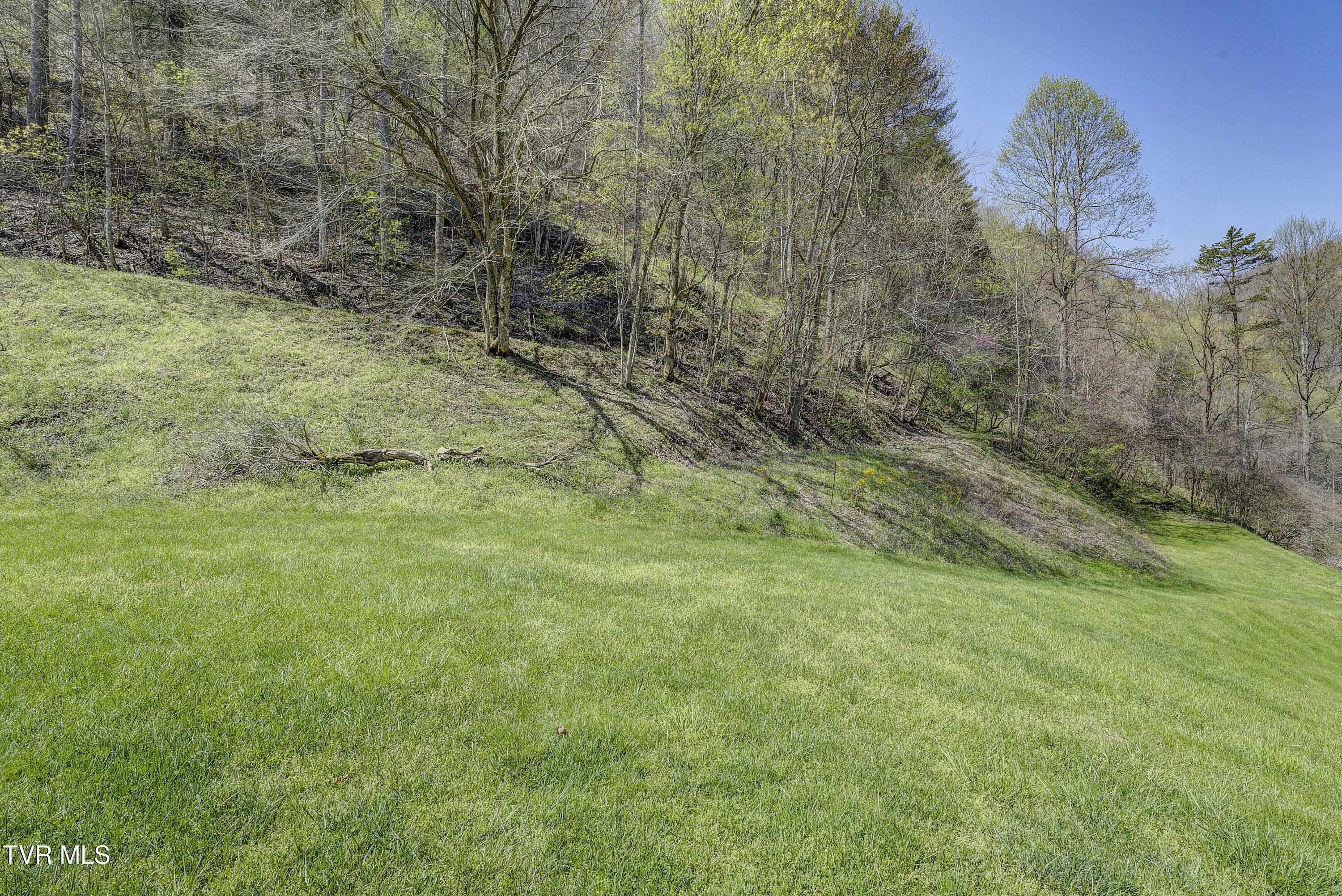 1290 Mott Branch Road Vansant, VA 24656 - Photo 8 of 62 Mott--58