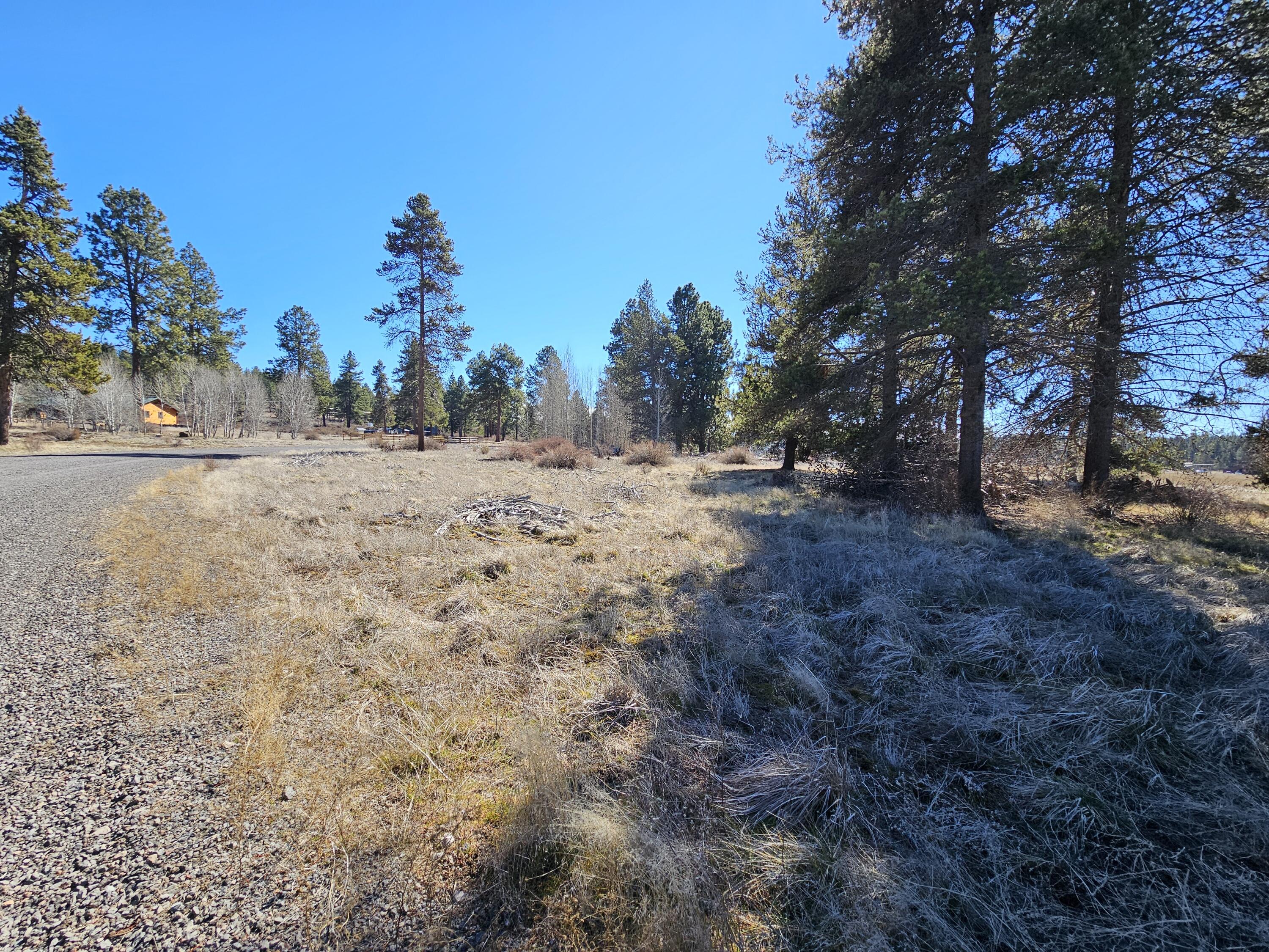 0 Longhorn Loop, Unit 25 Chiloquin, OR 97624 - Photo 3 of 4 20260307_122149