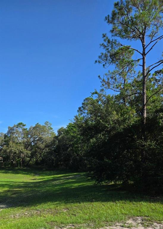 13603 Gopher Pond Court Hudson, FL 34669 - Photo 4 of 4 a view of a grassy field with trees