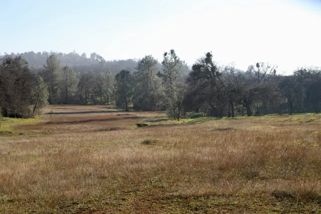 a view of outdoor space with trees