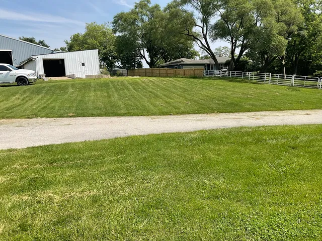 a garden view with tree s